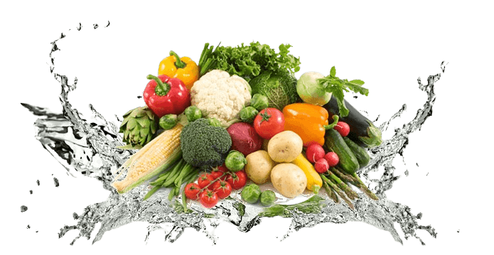 Nutraim dashboard preview